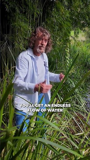 Rehydrating Land With Swales #swales #waterharvesting #permaculture