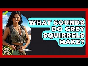 What Sounds Do Grey Squirrels Make? - The Wild Life Explorer