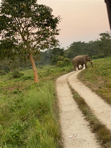 Jeep safari grda jhamka bhet Mr. Ronaldo snga | Ritesh Chaudhary