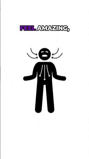 Sleep Cycle Psychology Explained