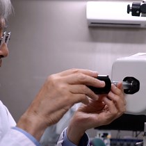 Rapid Freezing of Biological Specimens Using - JoVE Journal