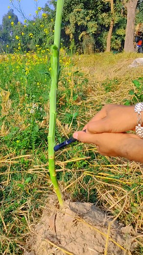 2.4M views · 10K reactions | #reelsfb #simplecreator #mobilevideography #videocreator | Simple creator | Facebook