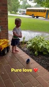 Hollywood Classics on Reels