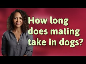 How long does mating take in dogs?