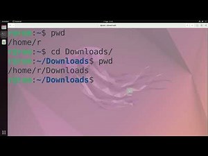 Domina la Terminal en Ubuntu 22.04: Personalización, Comandos Esenciales e Instalación de Programas