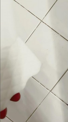 Mr Clean Magic Eraser Floor Test 🧼 #cleaning #foryou #shorts #review #fypシ゚
