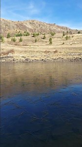 Posof yolağzı Sinsetip köyü 22 Kasım 2025