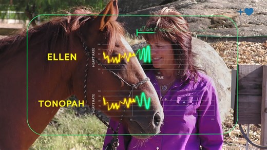 The meaningful bonds that can exist between people and horses have been shared widely across time and culture. Many who have worked closely with horses have attested to the mutual benefits that they have witnessed, especially when the person involved is in a positive emotional state. We hope you enjoy this video, in which we share just a few key research findings on the heart connections between people and horses. #horsetherapy #veterans #wellbeing #militaryspouse #postiveemotions | HeartMath fo