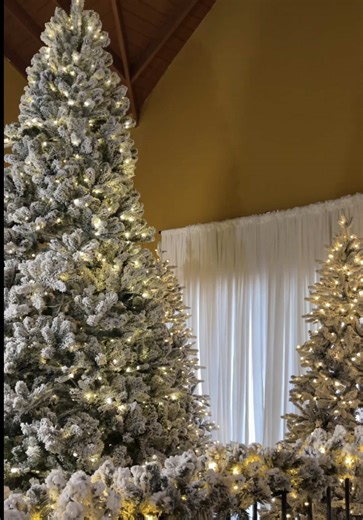 287 Days Until Christmas Countdown 2026!