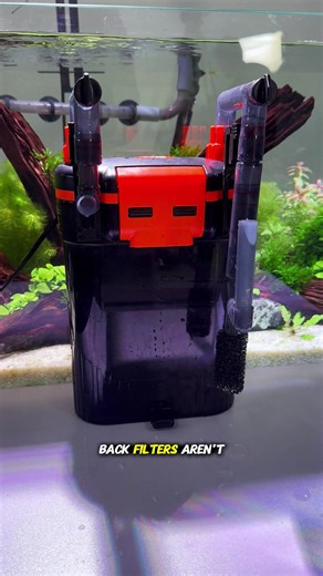 Choosing the Right Hang-On-Back Filter for Your Aquarium