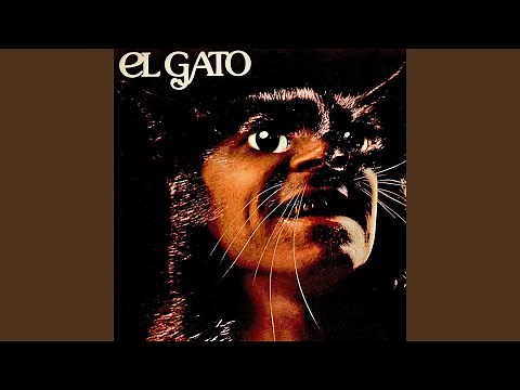 El Gato