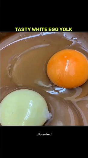 If You Find a White Egg Yolk… You’re Extremely Lucky 😳🥚