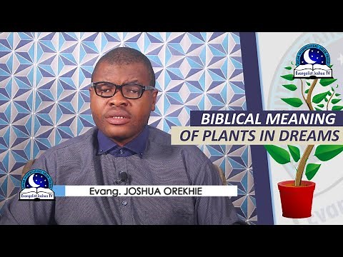 BIBLICAL MEANING OF PLANTS IN DREAMS - Dream About Plants