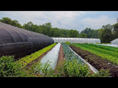 Lessons from 30 Years of No-Till | Four Winds Farm