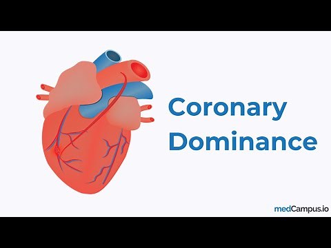 Coronary Dominance