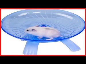 Quality product - Wontee Hamster Flying Saucer Silent Running Exercise Wheel for Gerbil Rat Mouse H