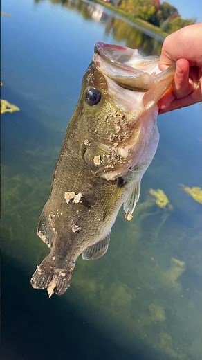 It was so bad at once it hurt to wash my hands