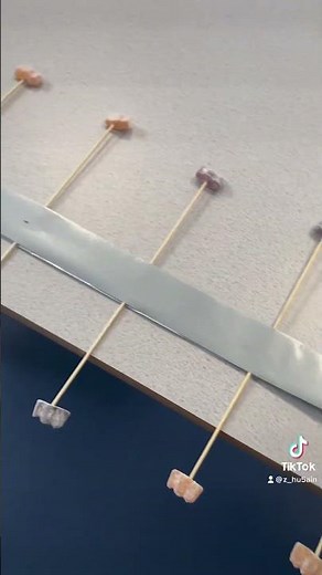 Make a wave machine using jelly babies #physics #scienceexperiment #school #teacher #classroom