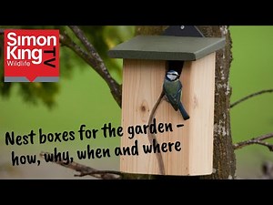 How to put up a nest box in your garden