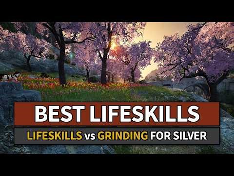 Best Lifeskills That Compete With Grinding For Silver in Black Desert