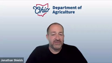 Spotted lanternflies: What are they and why are they considered a pest