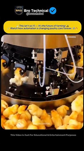 Modern Poultry Tech: Automated Chick Vaccination & Care System 🐣💉 | Farming Innovation at Work