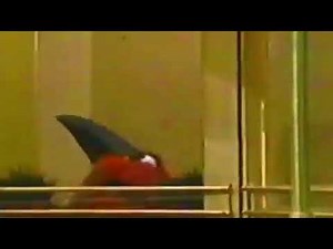 Classic Sesame Street - Telly Monster spins around the revolving doors too fast (w/Sound Effects)