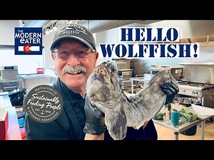 Is the Wolffish delish? It's This Months Fun Fish!