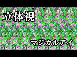 答え付き立体視 マジカルアイ 視力回復動画 平行法 ステレオグラム 視力回復系エンタメ stereogram[399]