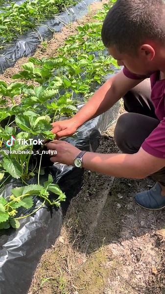 Сергей Пинск on TikTok