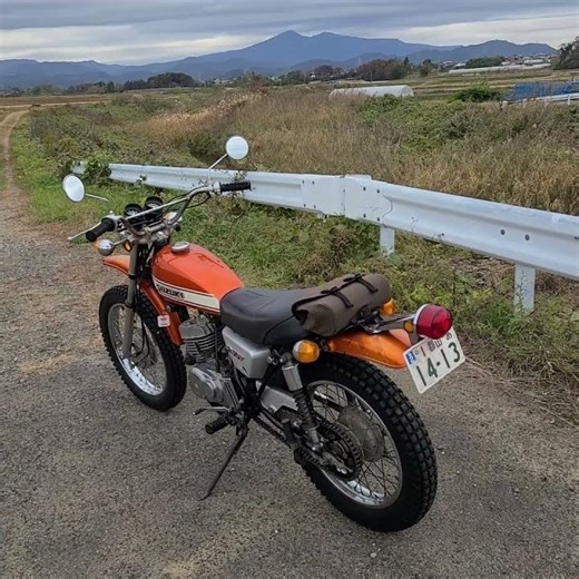 SUZUKIハスラーTS 250 1971