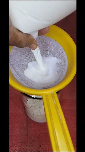 Make Curd from Raw Milk! Easy Process