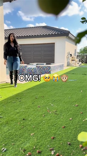 🎀𝒞𝓇𝑒𝒹𝒾𝓉 𝒩𝑜𝑒𝓁𝒶𝓃𝒾 on Instagram: "This could be you… fix your credit today! ✨ Credit Noelani Texas’ trusted credit expert helping clients nationwide 💳 Number 1 Credit Repair in Texas 📈 Helped millions improve their credit & buying power 🌎 Clients served nationwide ⏱ Results in as little as 30–45 days 📍 McAllen, TX 📲 (956) 358-4253 🌐 www.zapcreditsolutions.com 📩 DM “FIX CREDIT” to get started #financialeducation #credit #explorepage #creditrepair #newhousegift"