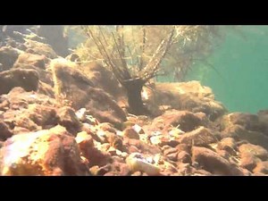 Kingman Wash JVC PICSIO GC-WP10 water test Kingman Wash, Lake Mead SCUBA Sports Chalet Snorkel