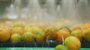 clip-1104132071-orange-industry-machine-running-during-washing-line