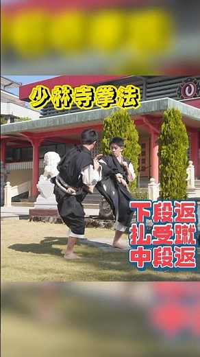 #少林寺拳法 #shorinjikempo #martialarts #武道 #金剛禅 #下段返 #払受蹴 #中段返