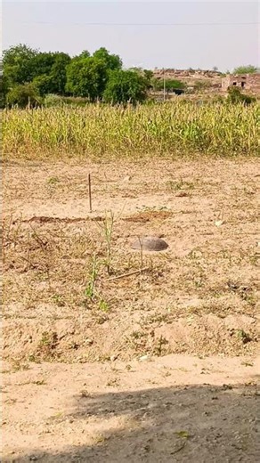 dipawali fatakhe testing । #fataka #dipawali_status #dipawali