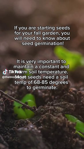 Germinating Seeds If you are starting seeds for your fall garden, you will need to know about seed germination! Germination is a term used to describe the sprouting of a seed at the beginning stages of its growth. Warm temperatures, moisture and oxygen are needed to germinate a seed! Two key things you will need to consider when germinating seeds are warmth and moisture. It is very important to maintain a constant and warm soil temperature. Most seeds need a soil temp of 68-85 degrees to germina
