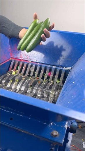 VEGETABLES vs Industrial Shredder!