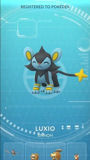 Shinx evolution in Pokemon GO #Pokemon #Shorts