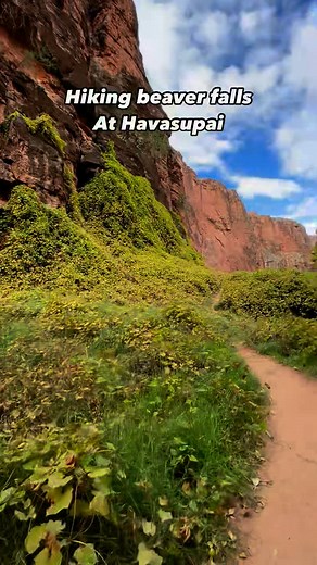 Adventure Lover 🩵 on Instagram: "Beaver Falls is a beautiful waterfall in Arizona’s Grand Canyon that’s located on the Havasupai Indian Reservation, The trail offers a cascade of waterfalls, vibrant colors, and you’ll find many big horn sheep. Definitely one of my favorite hikes in my entire life 🤩 #havasupai #havasupaifalls #havasupaiindianreservation #arizona #arizona_hiking #arizonahiking #grandcanyon #grandcanyonhiking #beaverfalls #beaverfallsarizona #hiking #hike #alltrails"