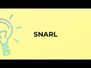 What is the meaning of the word SNARL?
