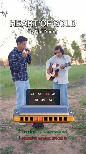 Heart of Gold - Harmonica Tabs Tutorial