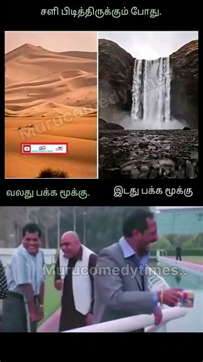 சளி தொல்லை #trendingshorts #viralvideo #could #fever #parithabangal #comedyshorts #funnymemes