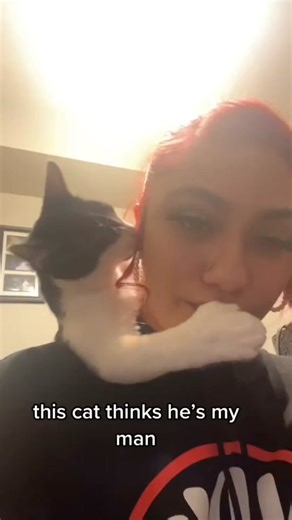 Funny cat kissing cam #funnyvideos #laugh #meme #cat #animals