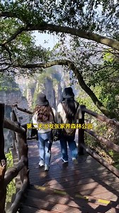 153K views · 1.4K reactions | 4月张家界 | 5天4晚全攻略！带上这份保姆级指南，放心去玩！⛰️...