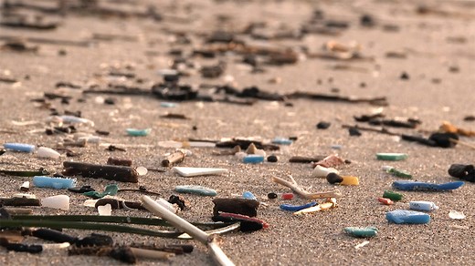 Microplastiques : sources, impact et solutions | Thèmes | Parlement européen