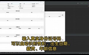 python3 pyqt5 人事档案管理系统 使用sqlite本地数据库运行视频
