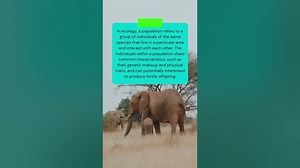 This is the meaning of POPULATION in ECOLOGY #shorts