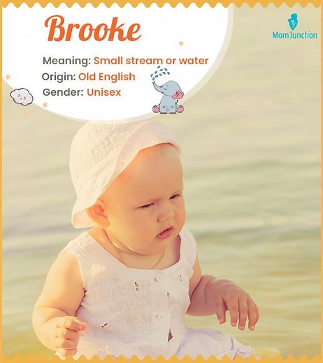 Brooke Name Meaning, Origin, History, And Popularity